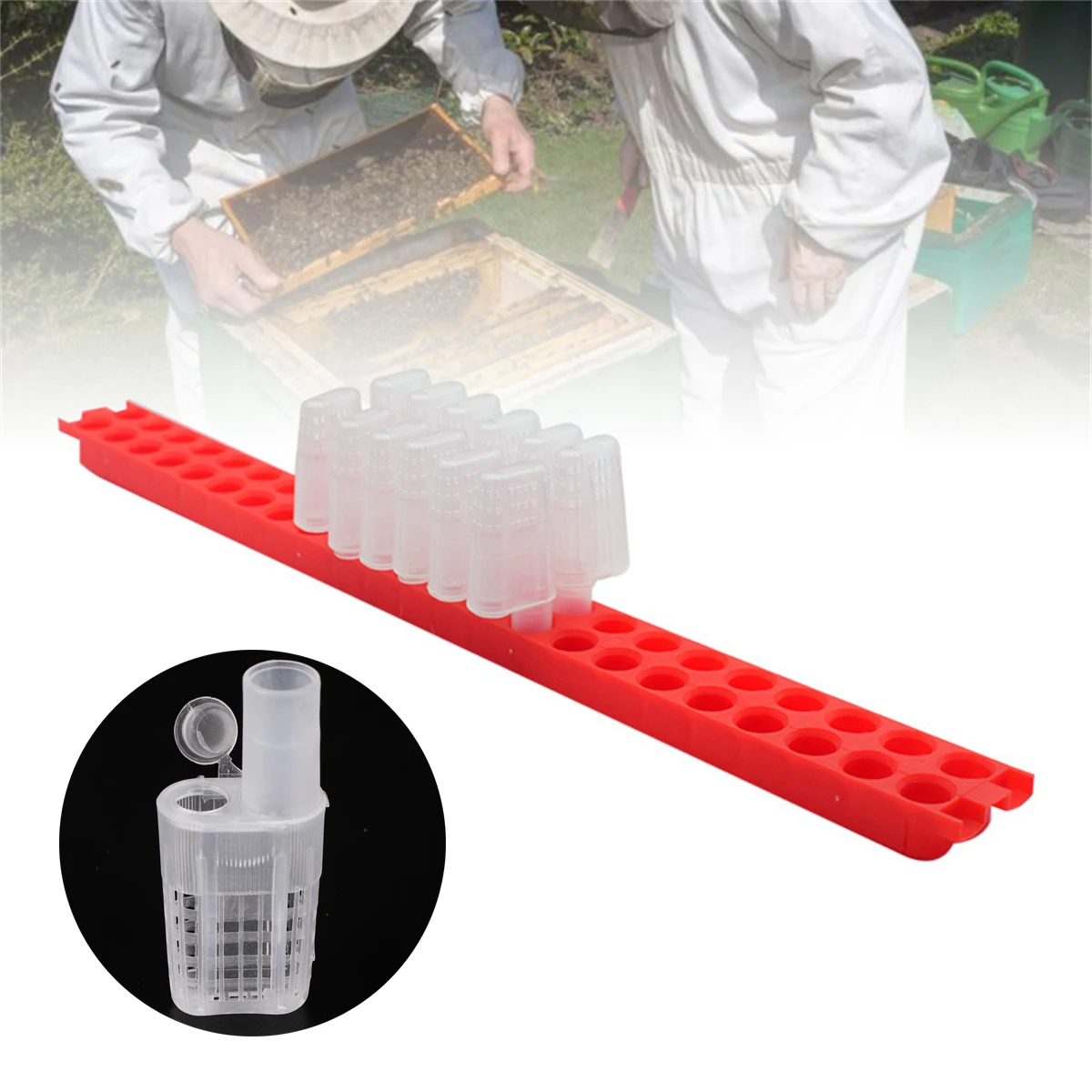 1 Set Queen Cell Cage with Transport Box Kit Beekeeping Supplies