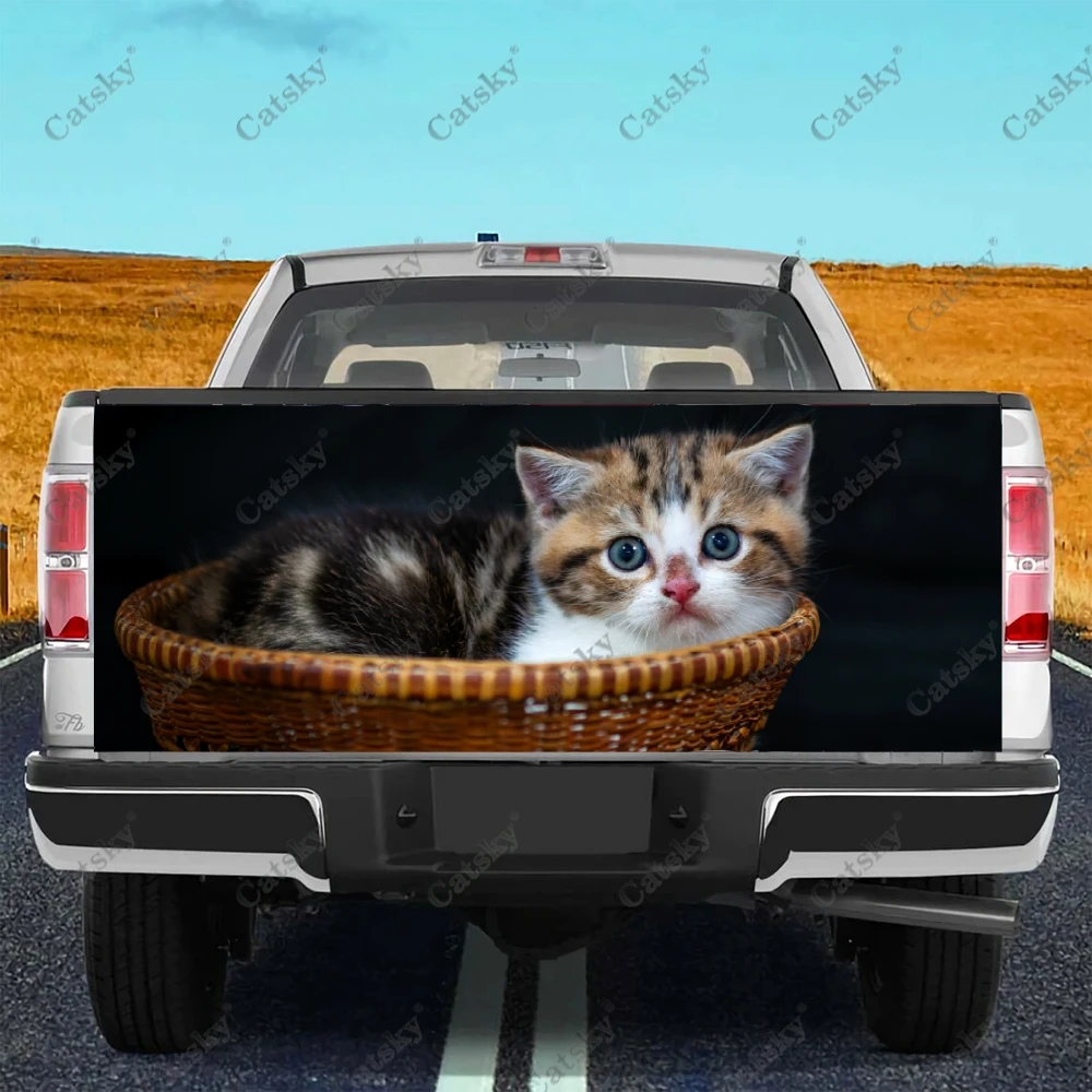 Custom Car Fußmatten Für ORA iQ Funky Katze DIE NÄCHSTEN ORA KATZE Alle  Modell Auto Teppich Teppich Footbridge Autos zubehör Styling - AliExpress