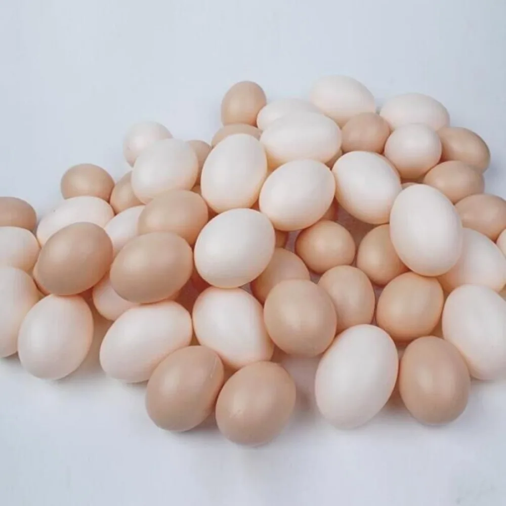 20/10PCS Fake Eggs Simulation Plastic Eggs Poultry Hatch Breeding Artificial DIY Painting Easter Egg Educational Toy Dinosaur Eggs Toys Animal Dinosaur Eggs