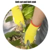 Children's Durable Gloves Labor Protection Waterproof Protective Gloves Non-Slip Children Safety Yard Work Gloves Latex Gloves 2