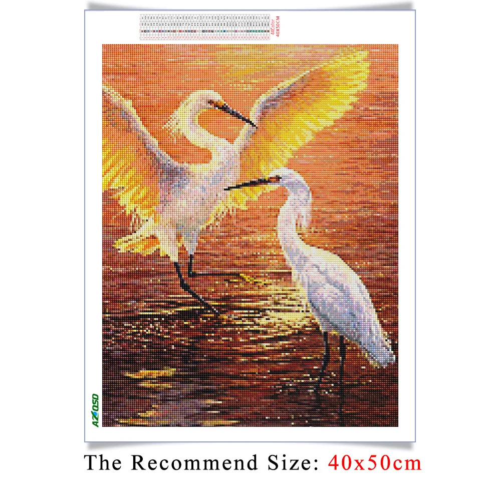 427843.jpg_.webp 427843.jpg_.webp