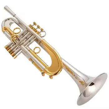 B Flat Weighted Trumpet Instrument for Beginners and Adults Professional Examination