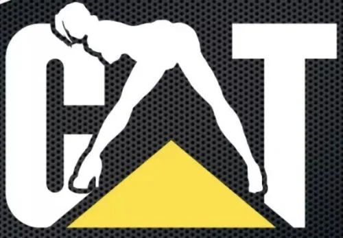 

For (2) Caterpillar Cat Vinyl Stickers 5x3.3 Decal Logo Heavy Equipment Naughty Girl