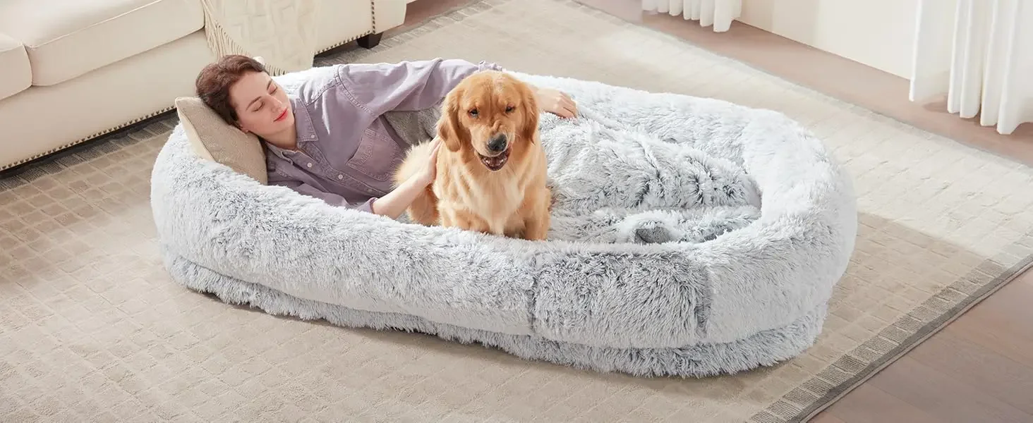 dog bed for humans