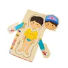 Wooden Human Body Puzzles for Toddlers 28 Piece Anatomy Puzzle Skeleton Human Body for Kids Educational Learning Preschool Toys 5