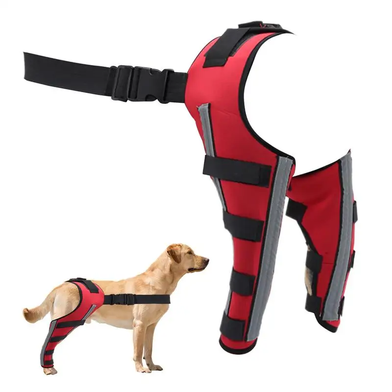 Dog Knee Brace for Joint Support and Recovery