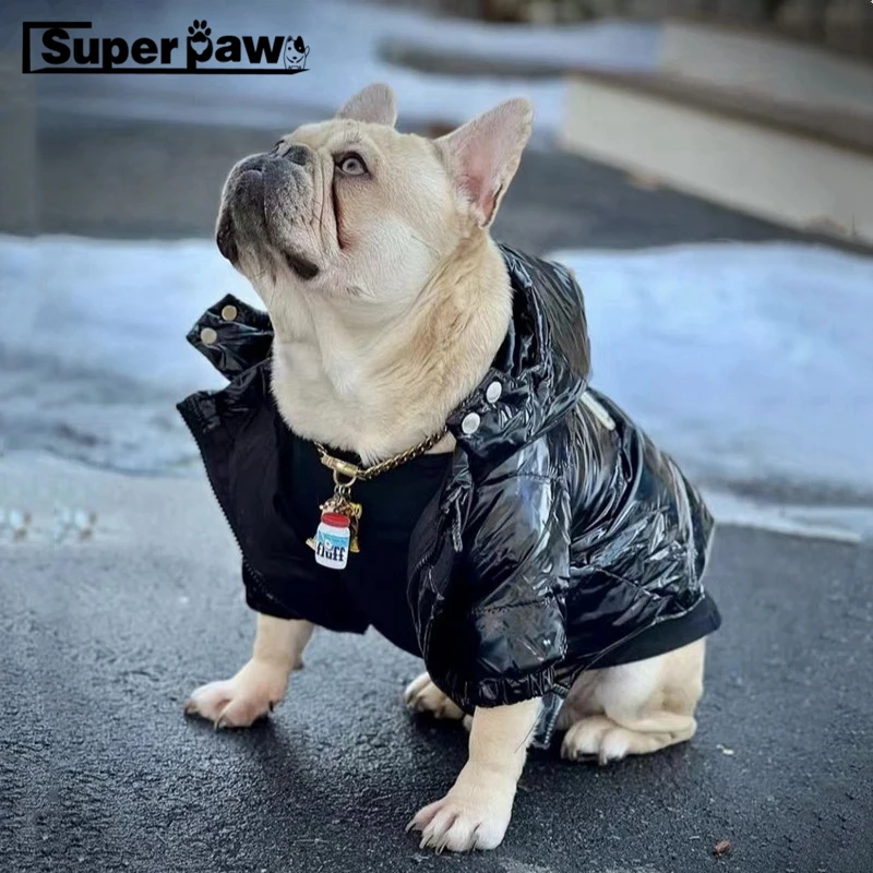 frenchie leather jacket