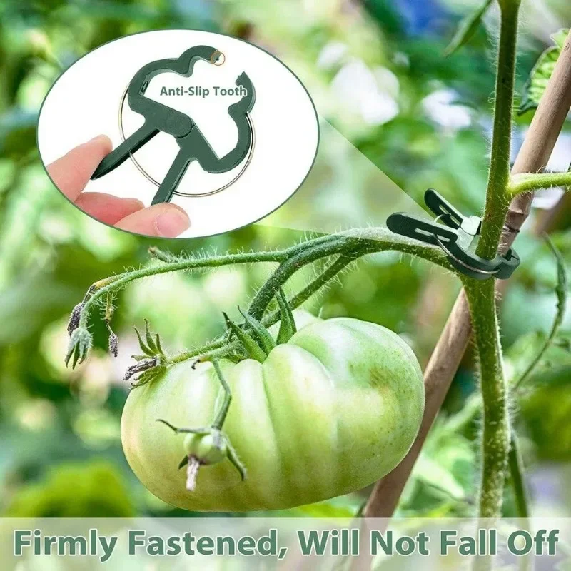   öƽ Ĺ  Ŭ, Ĺ ̽ ,  ½ ä, 丶 Ŭ, 40 