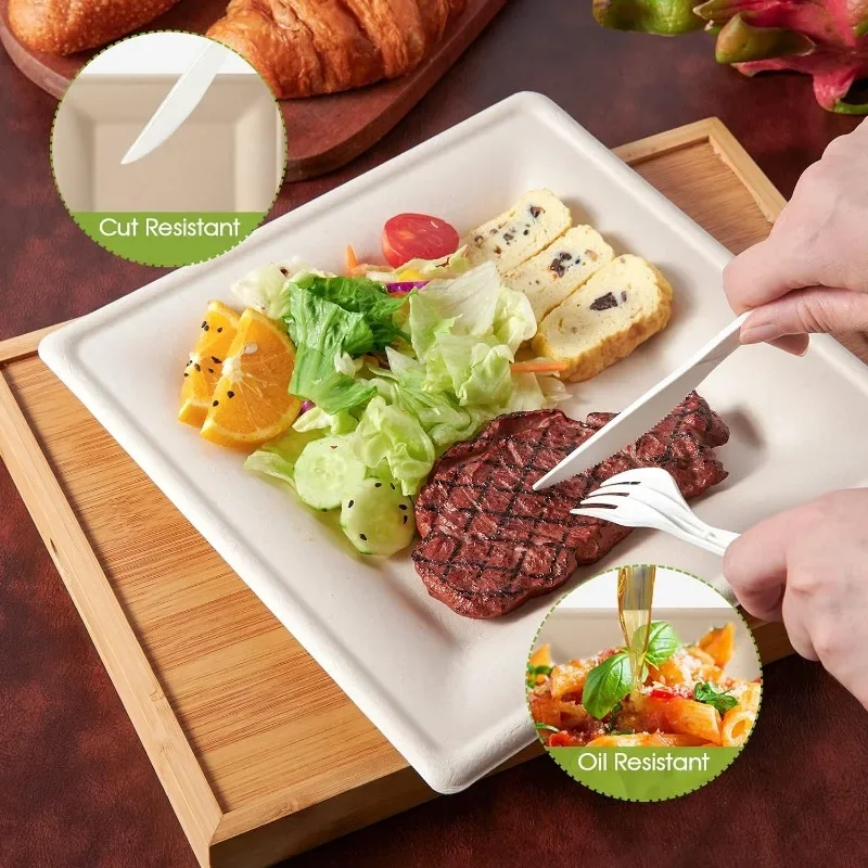 150 Pieces Compostable Square Paper Plates, 10 inch Heavy Duty Disposable Plates, Eco-friendly Biodegradable