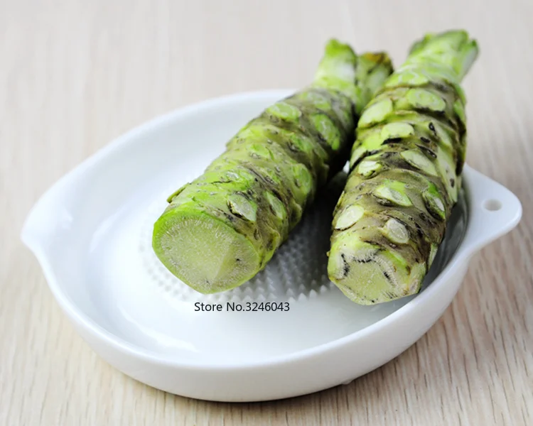 Ceramic Ginger Garlic Wasabi Grater Crushed Garlic Press Device soy sauce dish for sushi sashimi Baby complementary food tools