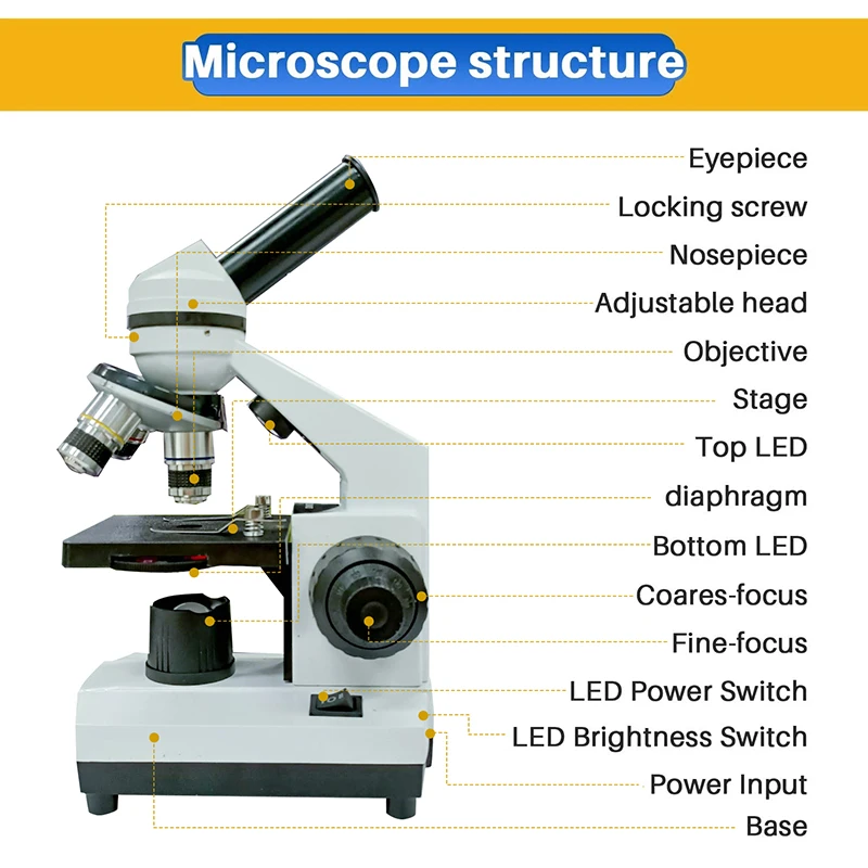Compound Microscope for Adults Students 40X-2500X Lab Microscopes with Phone Adapter Slides Set  for School Home Education 5