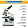 Compound Microscope for Adults Students 40X-2500X Lab Microscopes with Phone Adapter Slides Set  for School Home Education 5