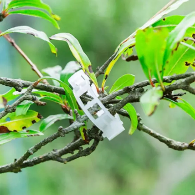 Műanyag Növényi Klipek Támogatók Összekapcsolják Az Újrafelhasználható Védelem Oltó Rögzítő Szerszám Kertészeti Készleteket A Zöldség Paradicsomhoz - Image 5