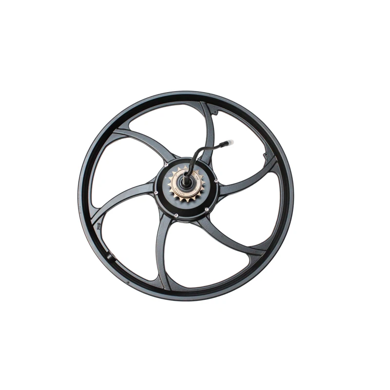 DJ-007 전기 자전거 키트용 퀵 릴리스 케이블이 포함된 20인치 48V 250W/..