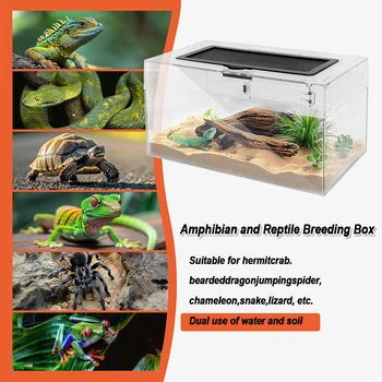 Transparent Reptile Feeding Box 2