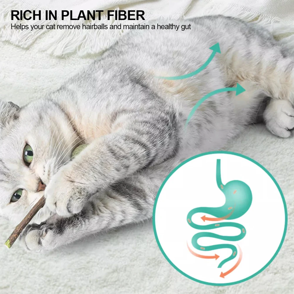 Cute Shape Freshen Catnip Ball Toy Cat Licking Playing Snacks Cat Mint Breath Mint Lollipop Toy Cat Supplies Pet Digesting Tool