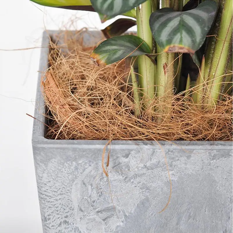 G Natural Coconut Fiber for Bird Nest Bird's Nest Coco Liner Birds House Accessories