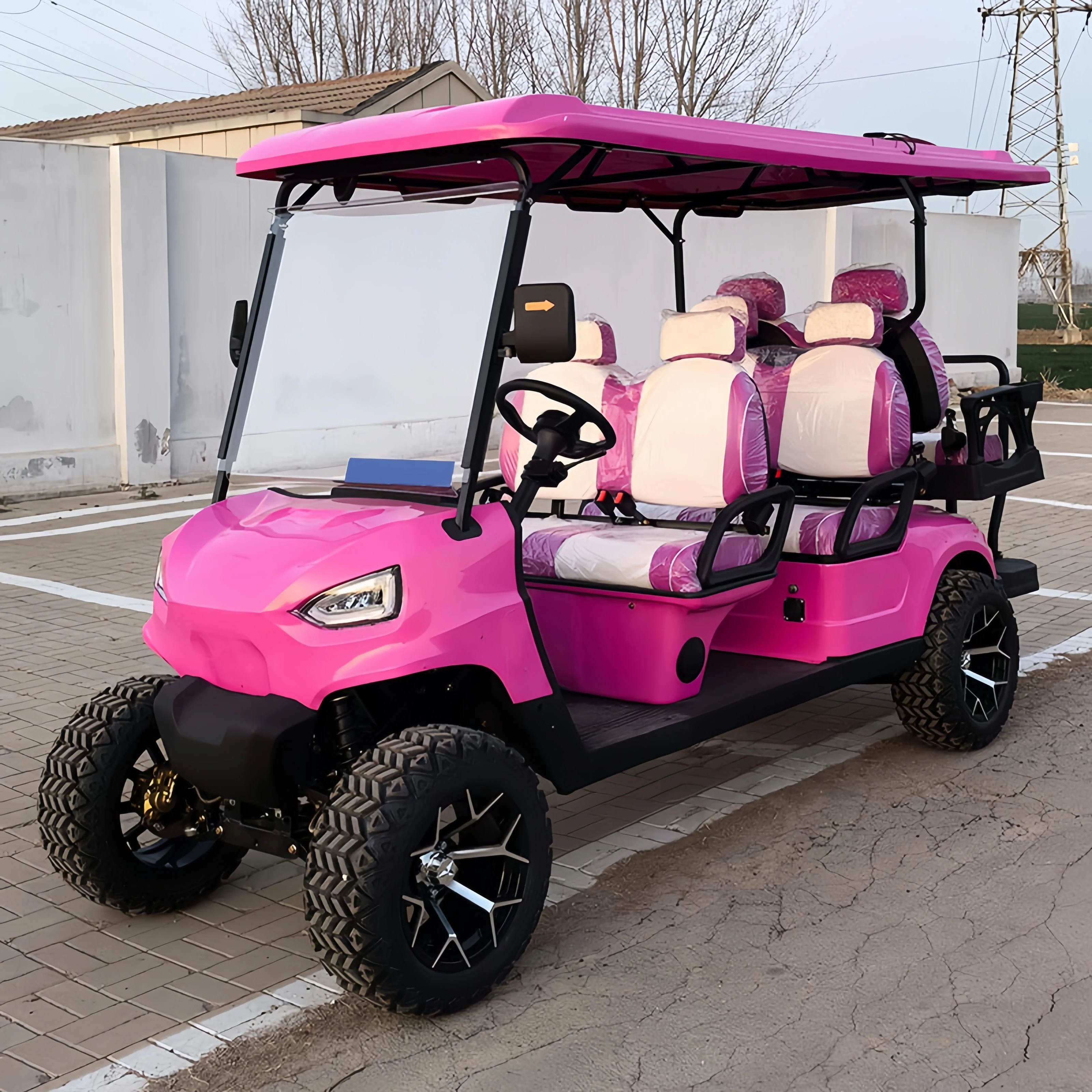 New 4 Wheel off Road Electric Golf Cart Club Car with CE