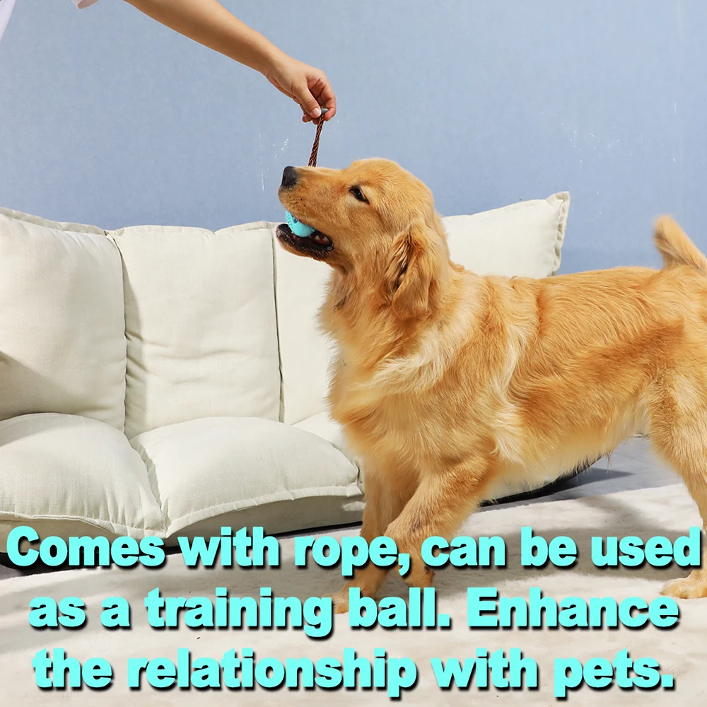 Dog Interactive Rubber Toys For Large Small Dogs Cats Chew Teeth Cleaning Golden Labrador Retriever Training Pet Accessories 6
