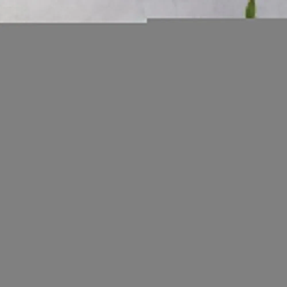 

Target Throw Blanket fluffy Blankets Sofas Of Decoration anime Hairy Blankets