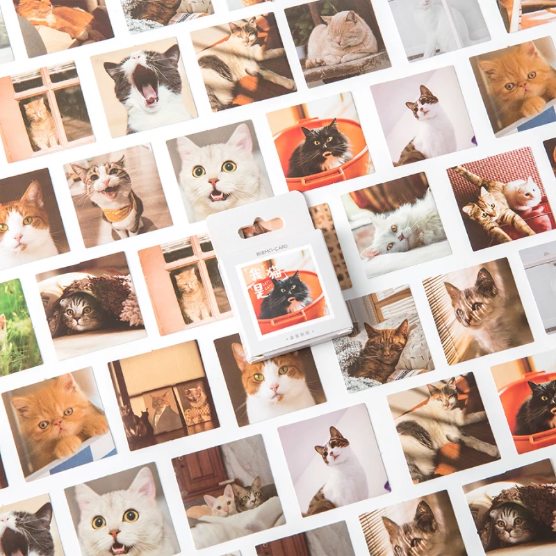 Journamm 46pcs/lot Cat Series Kawaii Boxed Stickers Planner DIY Scrapbooking Collage Photo Album Japanese Cute Decor Stationery