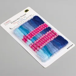 Premium Gradient Embroidery Floss Kit - Vibrant Rainbow Colors, High - Quality Cotton Threads (Blue series - 12 pcs)