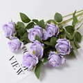 3pc purple