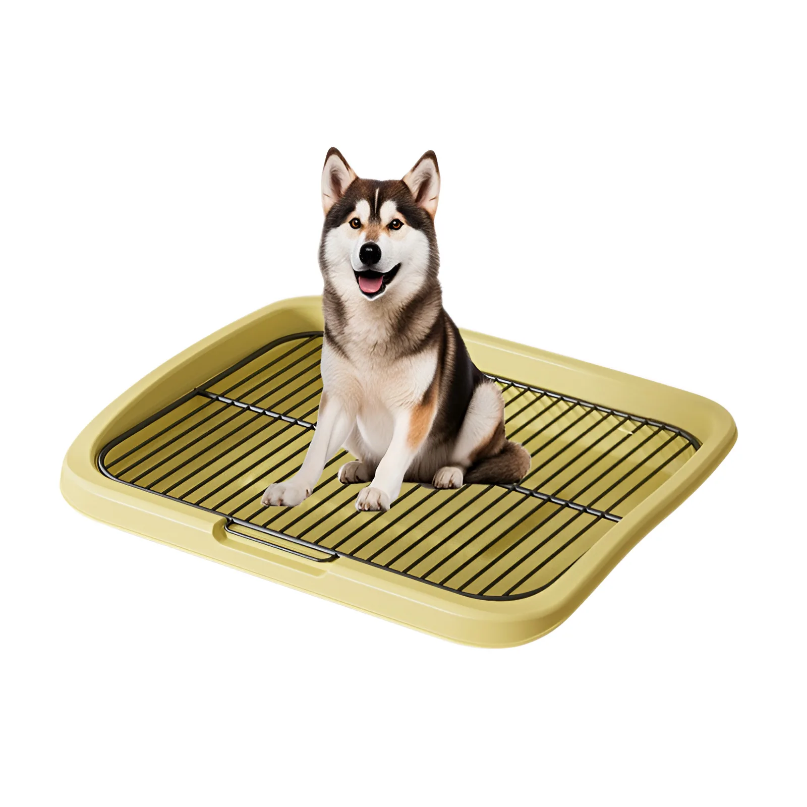 24kg-Yellow