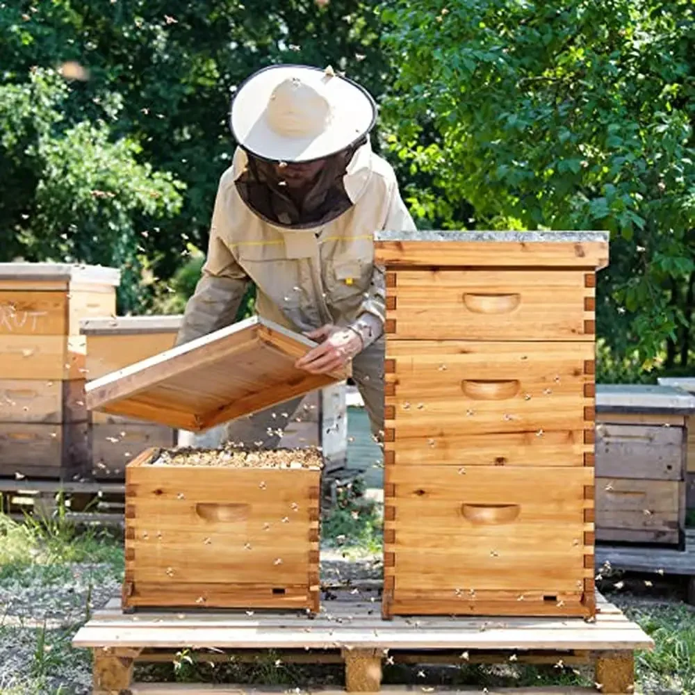 Wooden Bee Hive Kit 10-Frame Coated Beehive Starter Pack Frames Beeswax Foundation Sheets 3 Layer)
