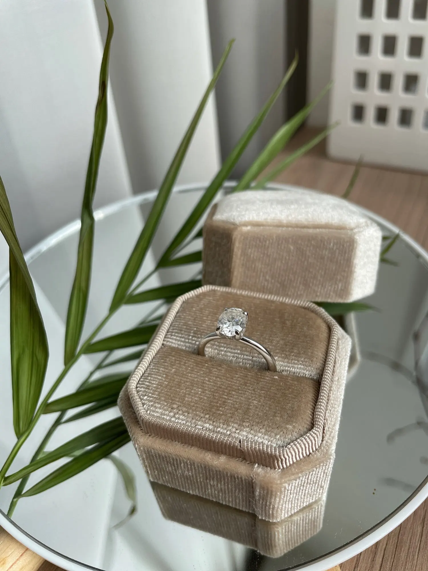 S340ebe03b0d744f8b267b54c59721c7em