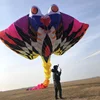 Free Shipping 15M Devil Fish Kite for Adults Kite Ray Fish Flying Folding Kite Giant Large Kites Professional Inflatable Toys 6