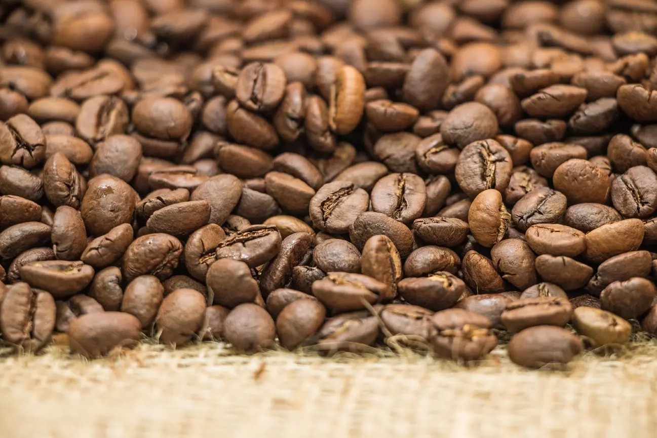 Рисунок 4 - Кофе в зернах Экстра Бар WEISERHOUSE