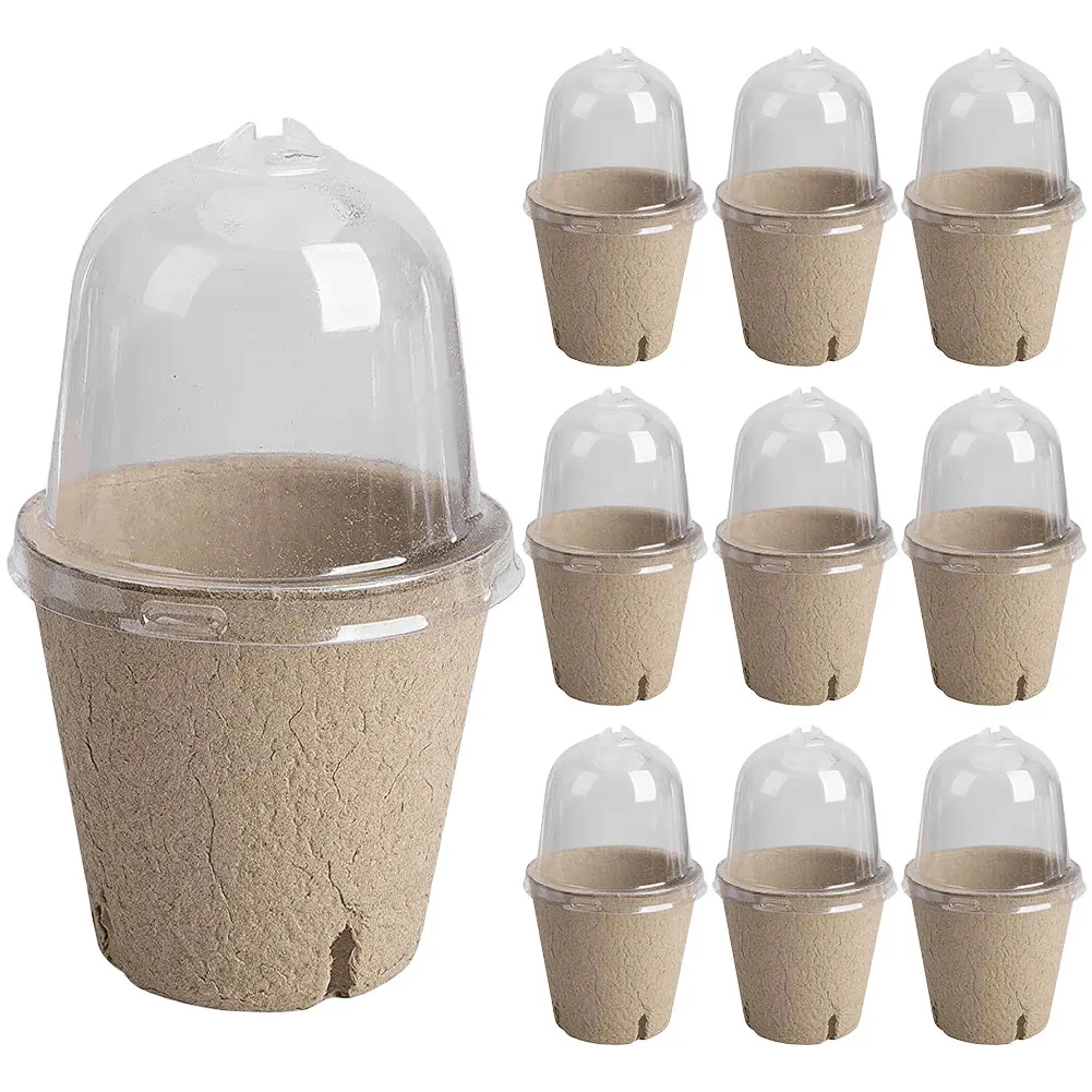 Seedling Box 10Pcs Transparent Lid Biodegradable Plant Growing Cup