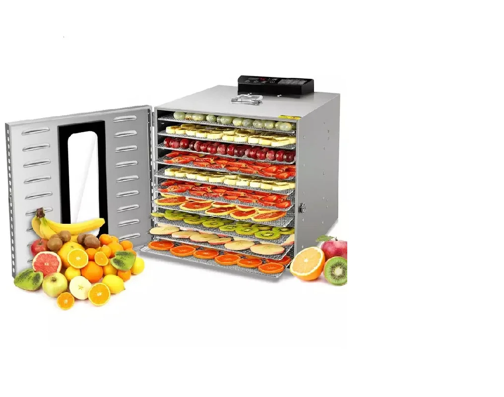 Fruit and Mango Dehydrator, Food Dehydrator, 10 Plate Food, Vegetable, and Fruit Drying Machine
