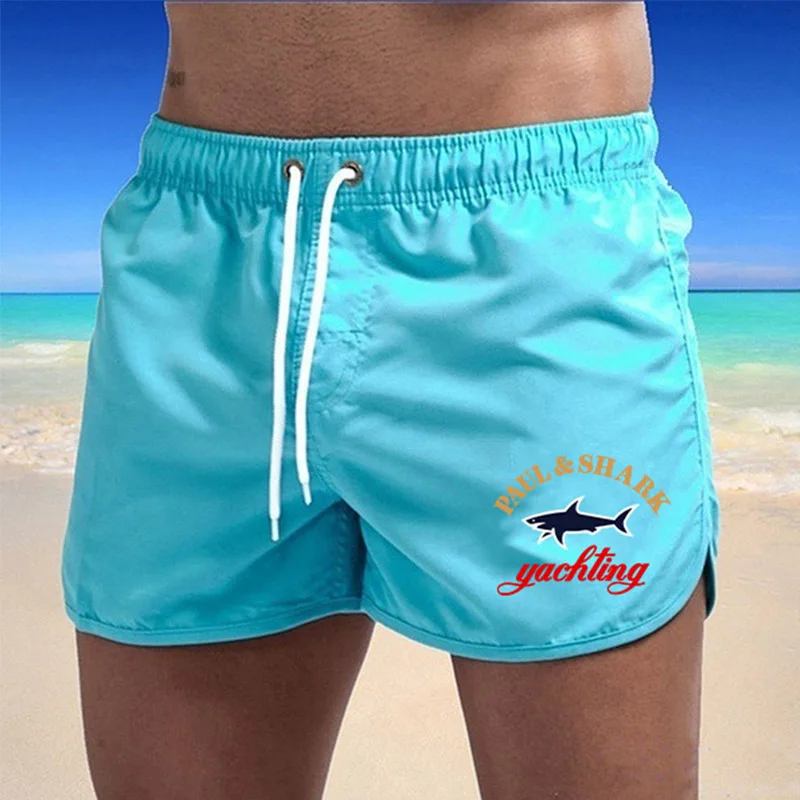 2024  äο ġ ݹ, ƮϽ   ,    Ʈũ,    ݹ, ǰ