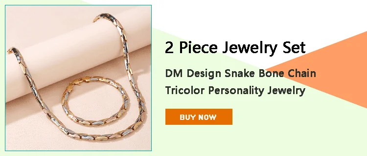 Dm Design Snake Bone Chain Men'S Necklace Bracelet Set Three-Color Personality Wild Bamboo Chain Ladies Couple Jewelry