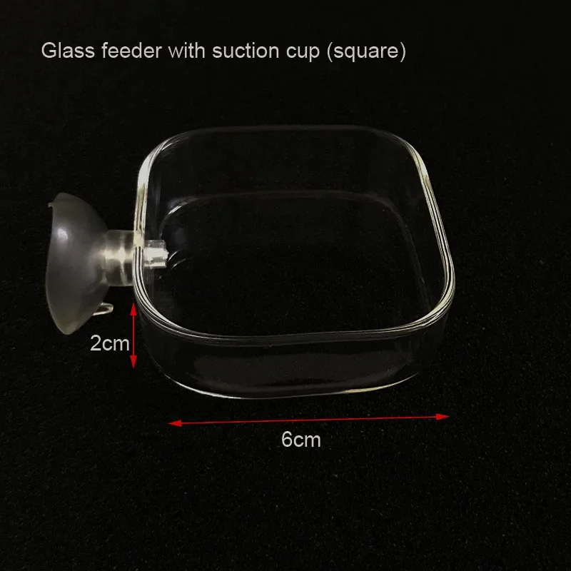 Square 6cm new