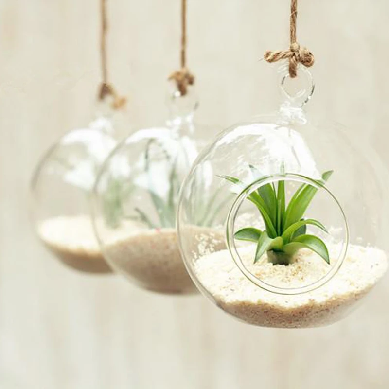 20 Candelabros Colgantes De Vidrio Transparente - Ideales Para Decorar Con Suculentas O Como Terrarios