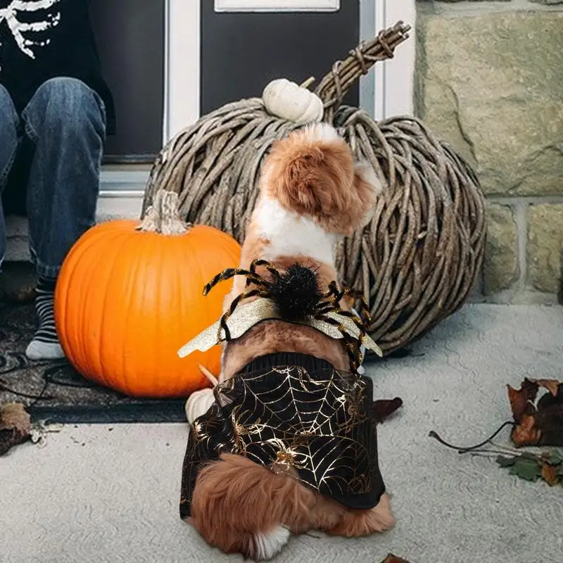 Spider Costume For Dogs Halloween Horror Spider Costume Lightweight Gothic Dog Apparel Funny Pet With Wings For Cats