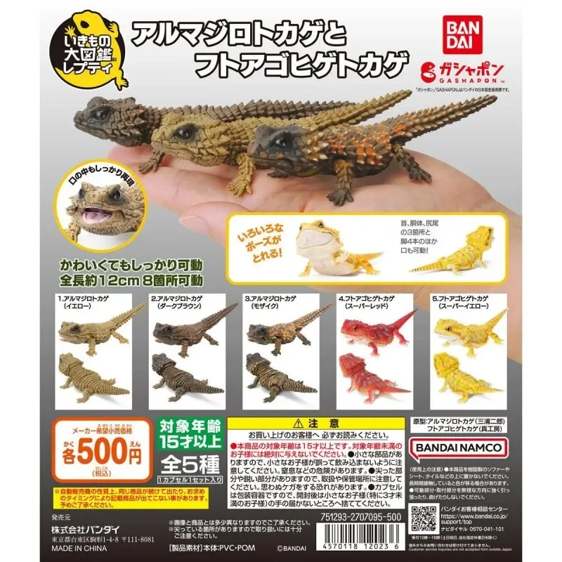 

Bandai Genuine 5Pcs Gashapon Lizard 12Cm Action Figure Toys For Kids Gift Collectible Model Ornaments