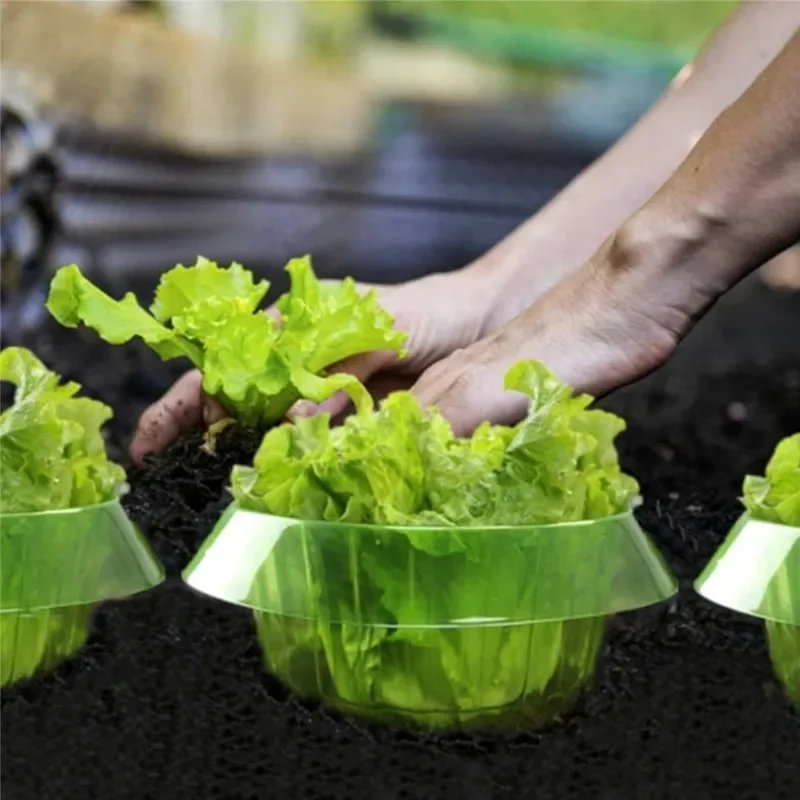 Plants Slug Protection Rings Vegetables Cover Plant Snail Collar Guard Green Planter Flower Pot Pest Control Trapper Garden Tool 2
