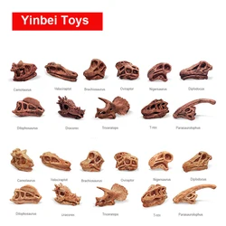 Kit de juguetes de dinosaurios, Cráneo, fósil, Arqueología para niños, tiranosaurio, Cráneo, ciencia fósil, juguetes educativos