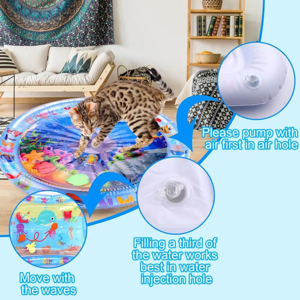 Sommer Kühlmatte Für Hunde Und Katzen Als Wasserbett_voghion.com