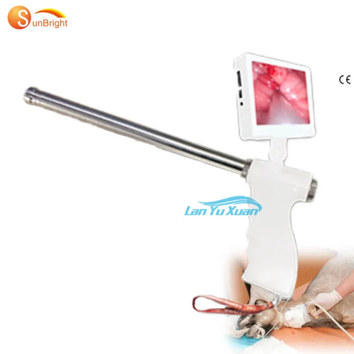 

Visual Artificial Insemination Gun For Cattle With Free Catheter