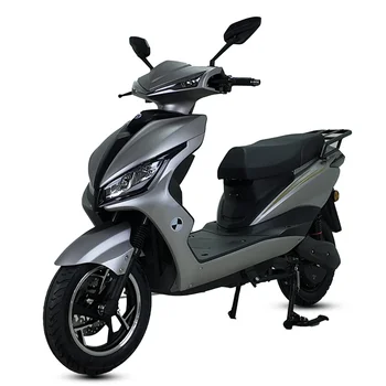 Best Seller Electric Vehicle 1000W 45km/h Electric Motorcycle 1