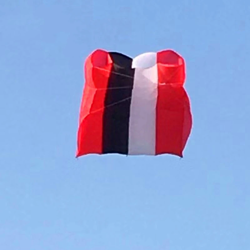 Large Kites flying 24sqm pilot kites flying octopus kites 12 sqm winds professional giant kite sailing Gaori kyen