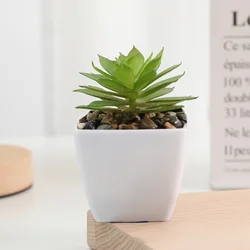 Mini Artificial Succulent Bonsai for Home and Office Decor (A)