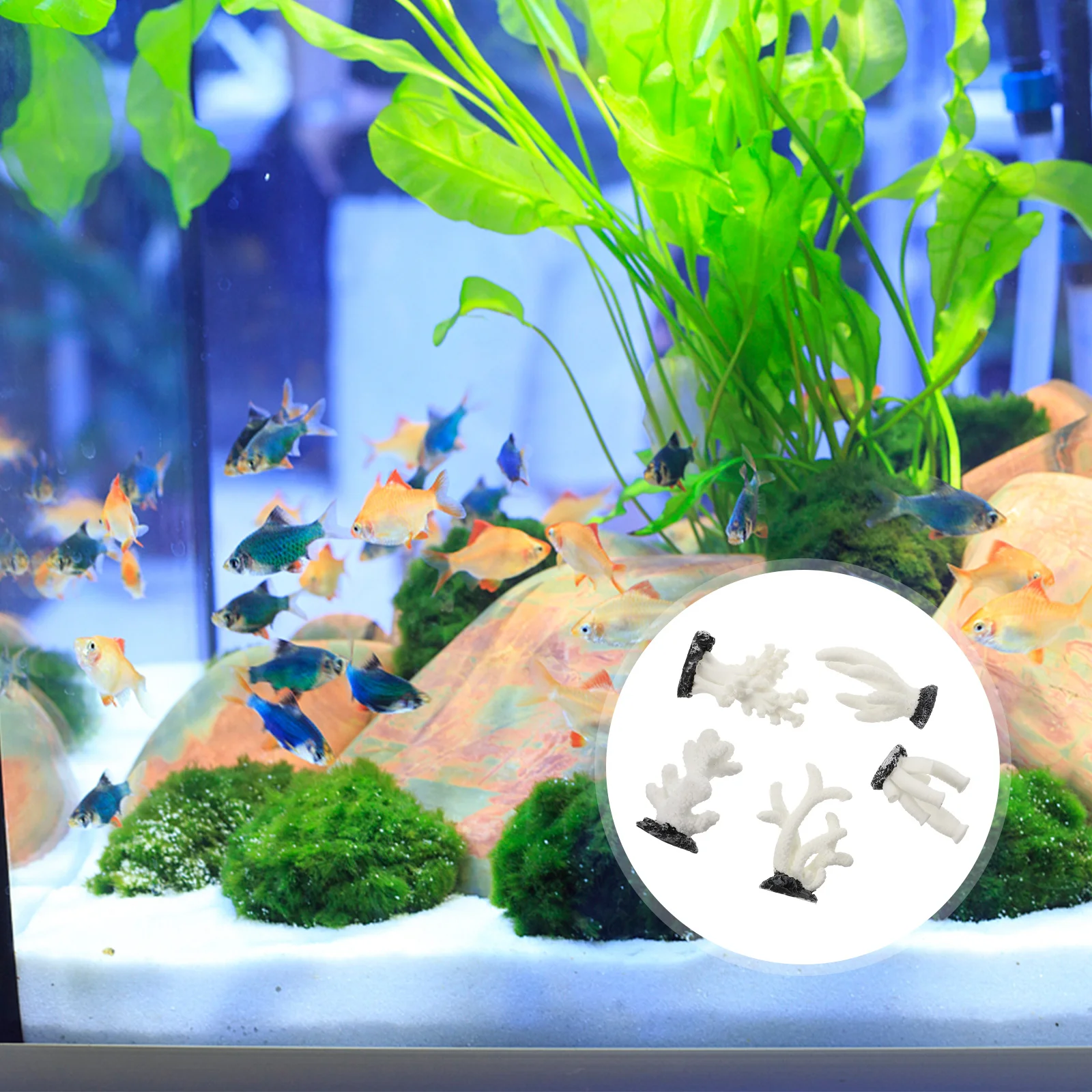 

5 Pcs Simulated Coral Ornaments Sea Decor Fish Tank Decoration Small Aquarium Plants Simulation Resin Child Aquariums