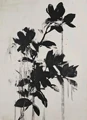 VIOLET/紫罗兰