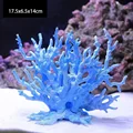 Blue Coral